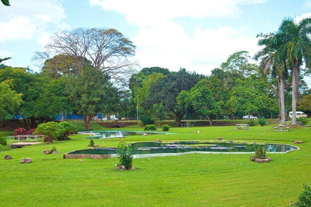 Raynebow Chateau - Chic City Getaway Port of Spain Buitenkant foto